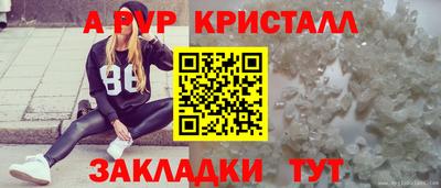 сатива Краснодар