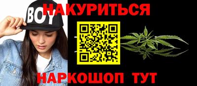 сатива Краснодар