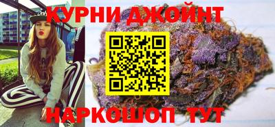 сатива Краснодар