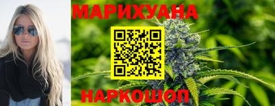 сатива Краснодар