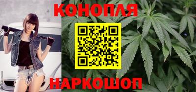 сатива Краснодар