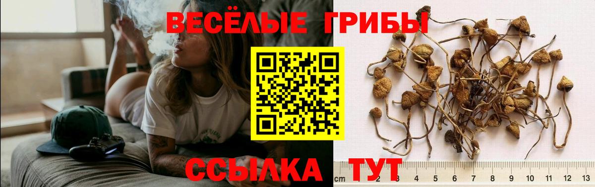 Красноперекопск  Галлюциногенные грибы мицелий  Вход с VPN 